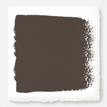 Load image into Gallery viewer, Woodsy brown with a touch of green exterior paint